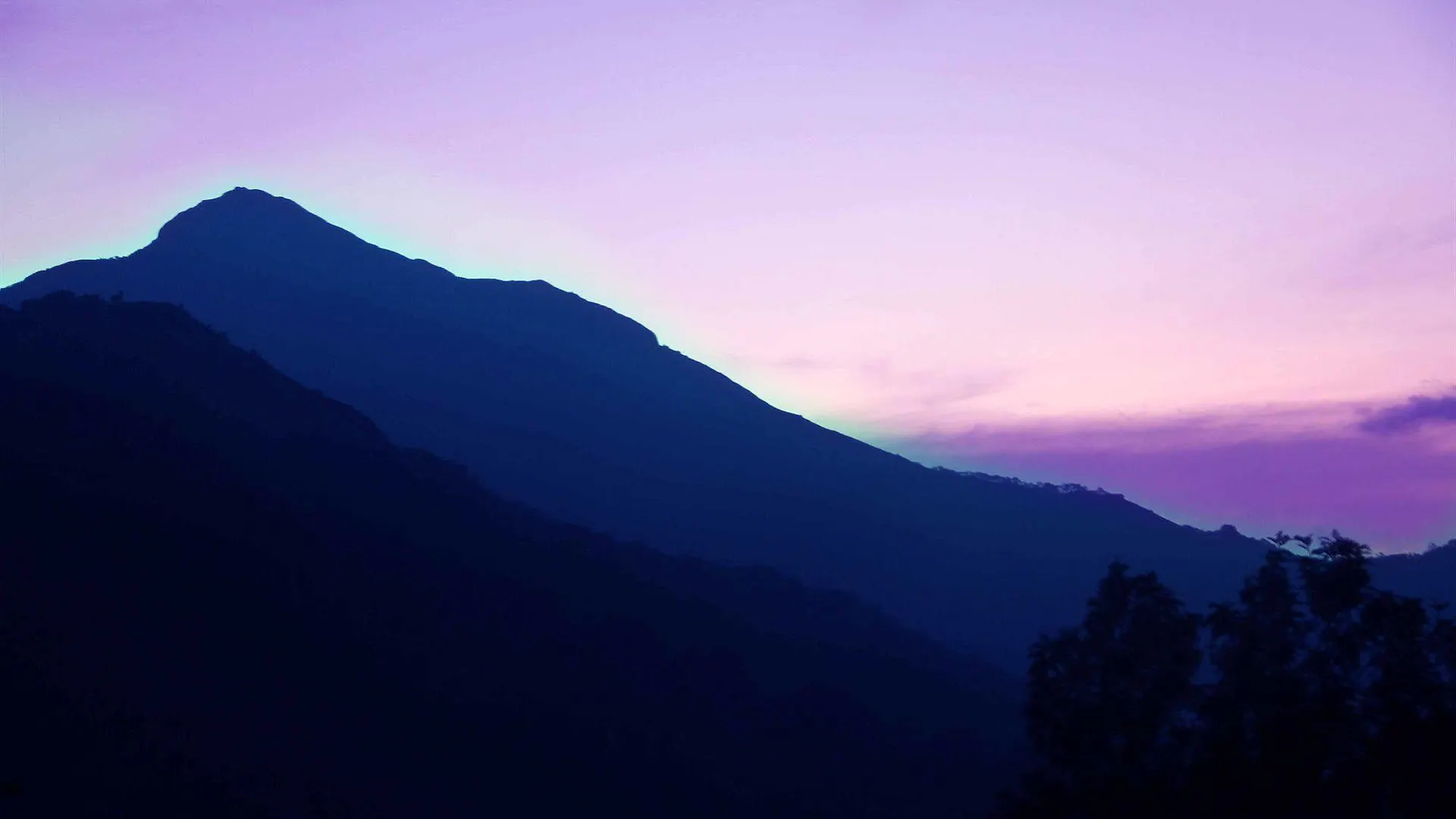 Green Trees Resort Munnar