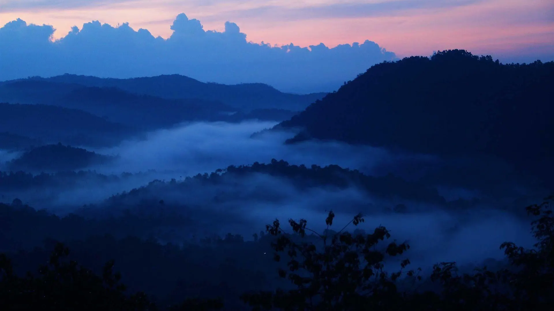 Green Trees Resort Munnar Indie